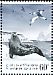 Antarctic Petrel Thalassoica antarctica  2013 Antarctic expedition 5v sheet
