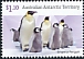 Emperor Penguin Aptenodytes forsteri  2022 Penguins 