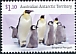 Emperor Penguin Aptenodytes forsteri