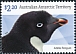 Adelie Penguin Pygoscelis adeliae