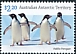 Adelie Penguin Pygoscelis adeliae