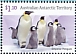 Emperor Penguin Aptenodytes forsteri  2022 Penguins Sheet