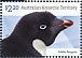 Adelie Penguin Pygoscelis adeliae