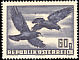 Rook Corvus frugilegus  1950 Air 