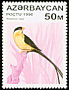 Shaft-tailed Whydah Vidua regia  1996 Birds 