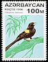 Yellow-mantled Widowbird Euplectes macroura  1996 Birds 