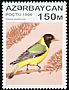 Black-hooded Oriole Oriolus xanthornus  1996 Birds 
