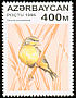 Yellow-fronted Canary Crithagra mozambica  1996 Birds 