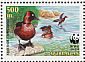 Ferruginous Duck Aythya nyroca  2000 WWF, Ferruginous Pochard Sheet with 2 sets