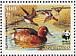 Ferruginous Duck Aythya nyroca  2000 WWF, Ferruginous Pochard Sheet with 2 sets