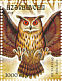 Eurasian Eagle-Owl Bubo bubo  2001 Owls  MS