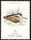 Eurasian Woodcock Scolopax rusticola  1988 Nature protection, birds 