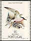 Roseate Tern Sterna dougallii  1988 Nature protection, birds Booklet