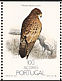 Common Buzzard Buteo buteo  1988 Nature protection, birds Booklet