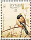 Azores Bullfinch Pyrrhula murina  1990 WWF 