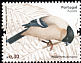 Azores Bullfinch Pyrrhula murina