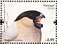 Azores Bullfinch Pyrrhula murina  2008 Bullfinch  MS MS