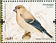 Azores Bullfinch Pyrrhula murina  2008 Bullfinch, in yearbook 2008 Prestige booklet