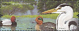 Eurasian Teal Anas crecca  2009 Lakes  MS