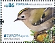 Goldcrest Regulus regulus