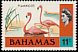 American Flamingo Phoenicopterus ruber  1971 Definitives 