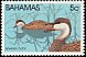 White-cheeked Pintail Anas bahamensis  1981 Birds 