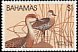 West Indian Whistling Duck Dendrocygna arborea  1981 Birds 