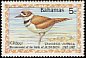 Killdeer Charadrius vociferus  1985 Audubon 