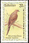 Mourning Dove Zenaida macroura  1985 Audubon 