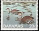 West Indian Whistling Duck Dendrocygna arborea  1988 WWF 