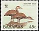 West Indian Whistling Duck Dendrocygna arborea  1988 WWF 