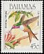 Bahama Woodstar Nesophlox evelynae  1989 Hummingbirds 