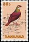 Key West Quail-Dove Geotrygon chrysia  1991 Birds 