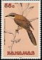 Mangrove Cuckoo Coccyzus minor  1991 Birds 