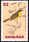 Bahama Yellowthroat Geothlypis rostrata  1991 Birds 