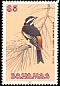 Western Spindalis Spindalis zena  1991 Birds 
