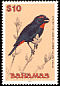 Greater Antillean Bullfinch Melopyrrha violacea