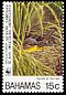 Kirtland's Warbler Setophaga kirtlandii  1995 WWF 