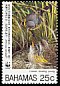Kirtland's Warbler Setophaga kirtlandii  1995 WWF 