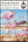 American Flamingo Phoenicopterus ruber  1999 National Trust, Flamingo Strip