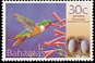 Bahama Woodstar Nesophlox evelynae  2001 Birds and eggs 