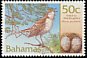 Bahama Mockingbird Mimus gundlachii  2001 Birds and eggs 