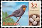 Greater Antillean Bullfinch Melopyrrha violacea  2001 Birds and eggs 