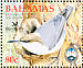 Bahama Nuthatch Sitta insularis  2006 BirdLife International Sheet