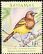 Bahama Oriole Icterus northropi  2009 Rare birds 