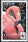 American Flamingo Phoenicopterus ruber  2012 WWF 