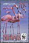 American Flamingo Phoenicopterus ruber  2012 WWF Sheet with 4 sets