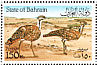 Macqueen's Bustard Chlamydotis macqueenii  1990 Bustard Sheet