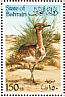 Macqueen's Bustard Chlamydotis macqueenii  1990 Bustard Sheet