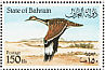 Macqueen's Bustard Chlamydotis macqueenii  1990 Bustard Sheet